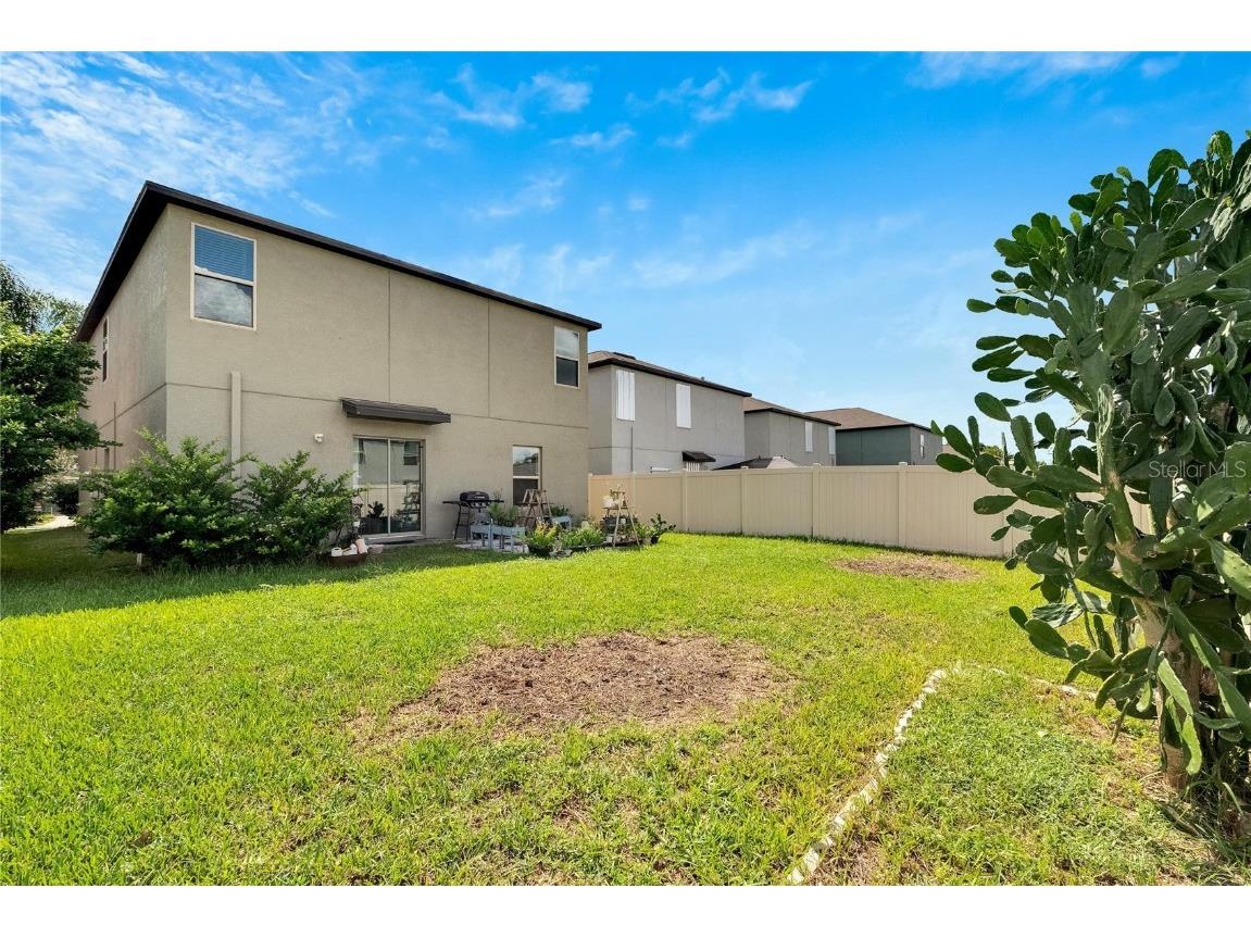 12730 Lemon Pepper Drive Riverview FL 33578 P4936616 image54