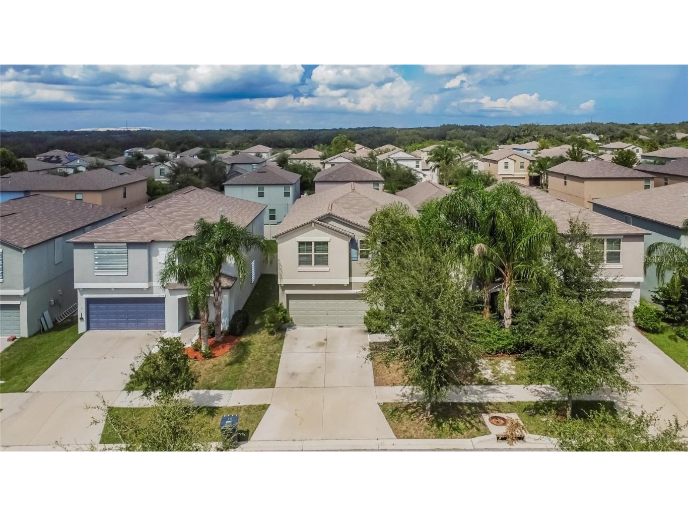 12730 Lemon Pepper Drive Riverview FL 33578 P4936616 image60