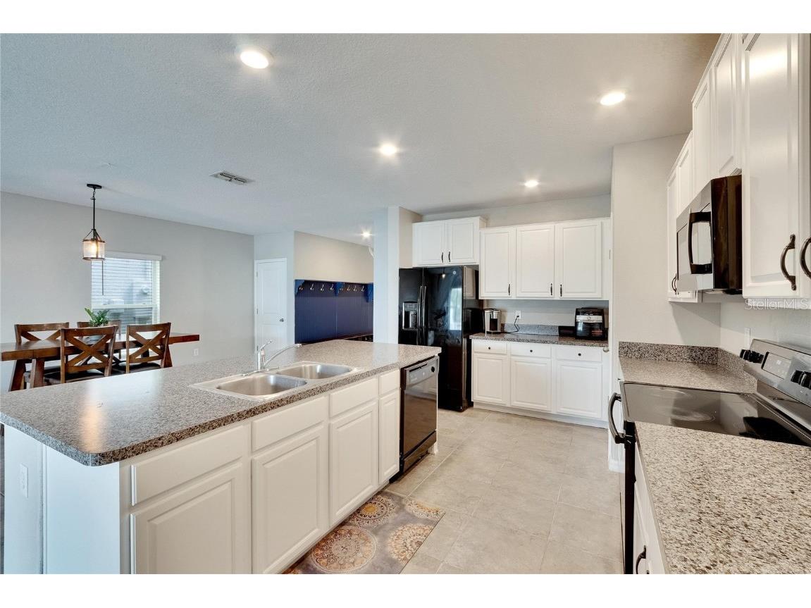 12730 Lemon Pepper Drive Riverview FL 33578 P4936616 image8