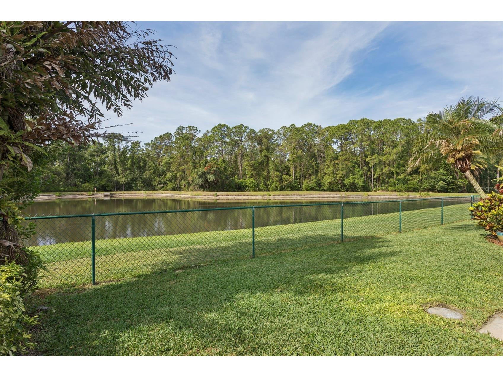 12730 Tar Flower Drive Tampa FL 33626 TB8508499 image40