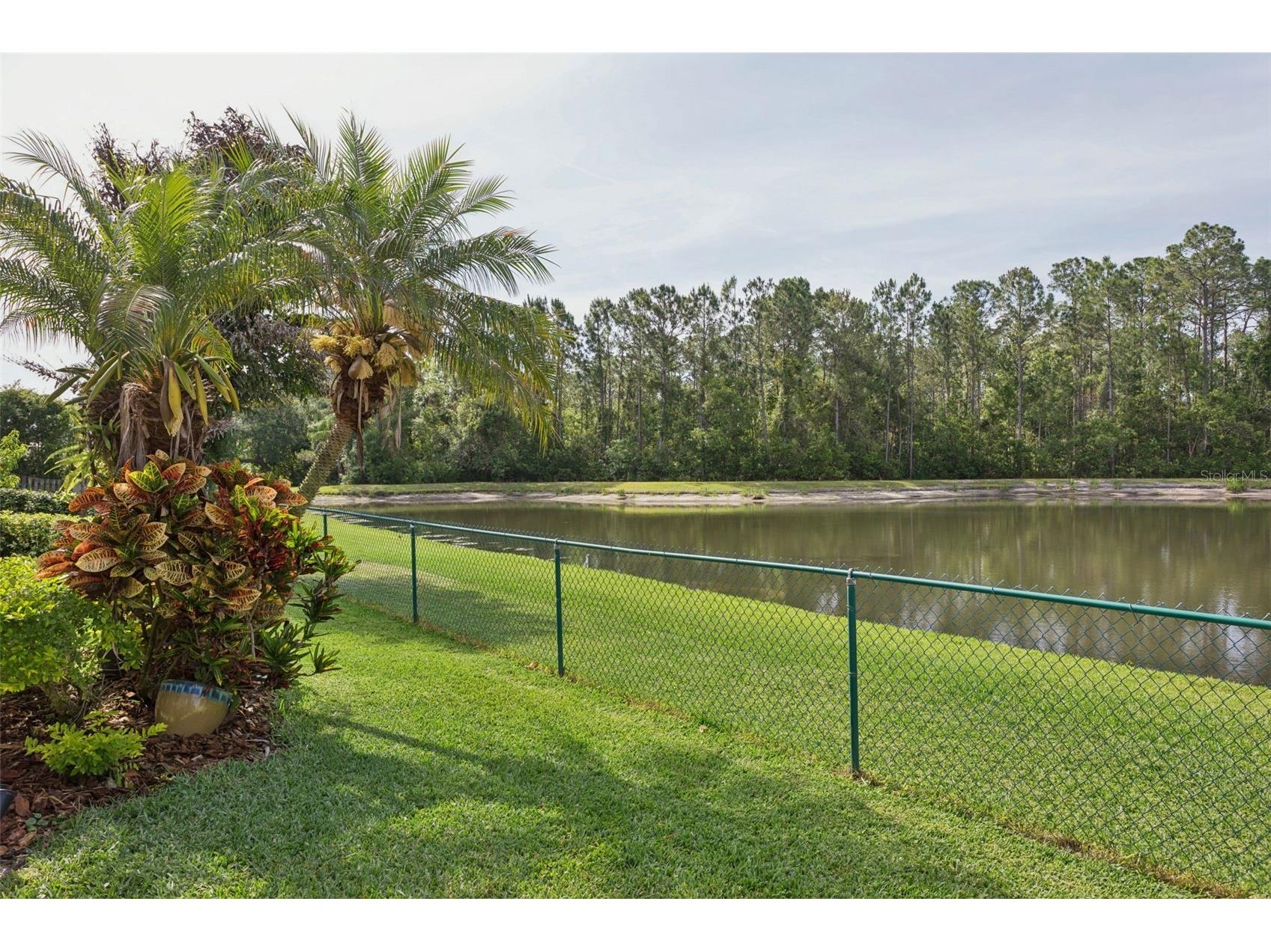 12730 Tar Flower Drive Tampa FL 33626 TB8508499 image41
