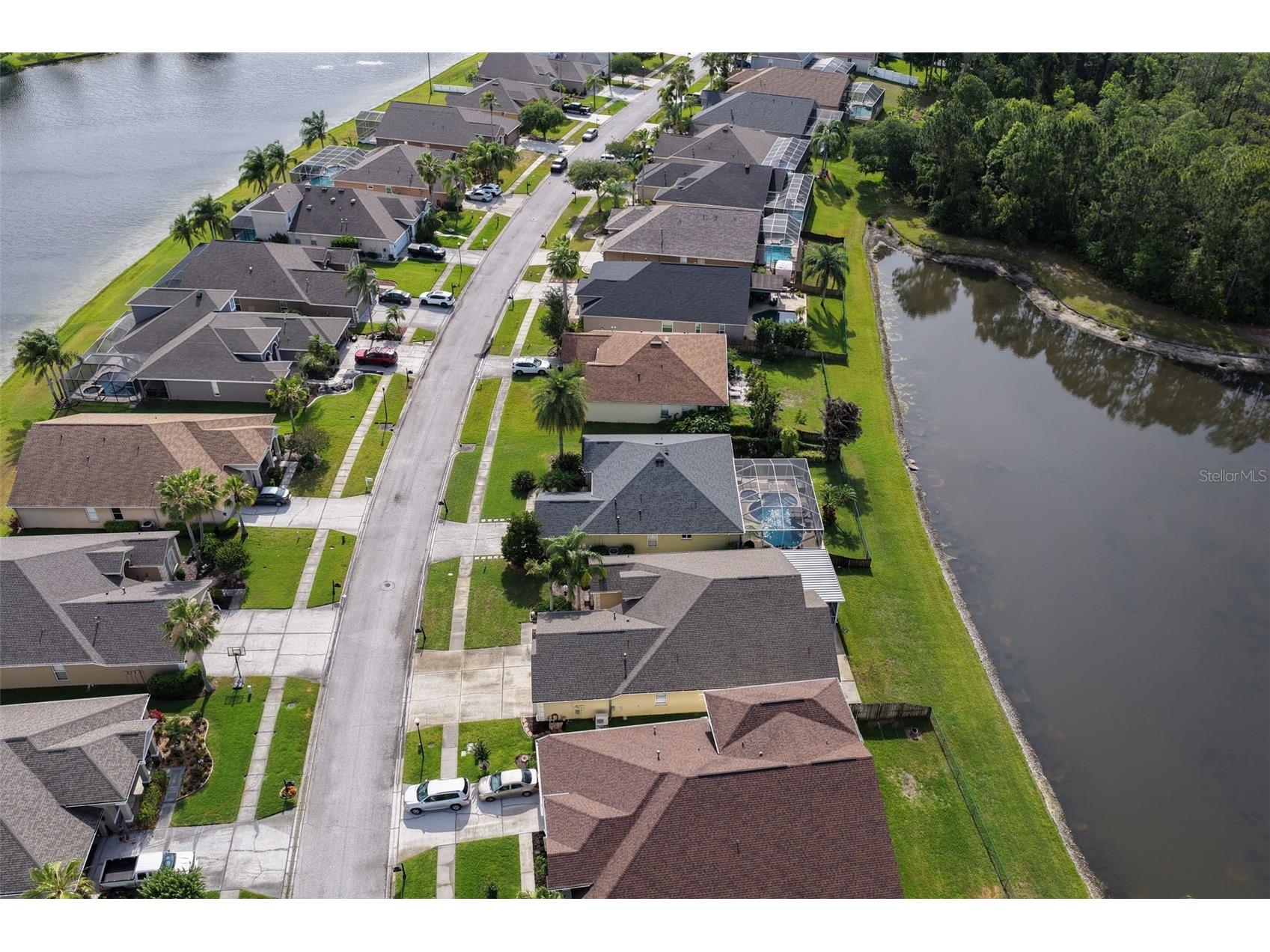 12730 Tar Flower Drive Tampa FL 33626 TB8508499 image45