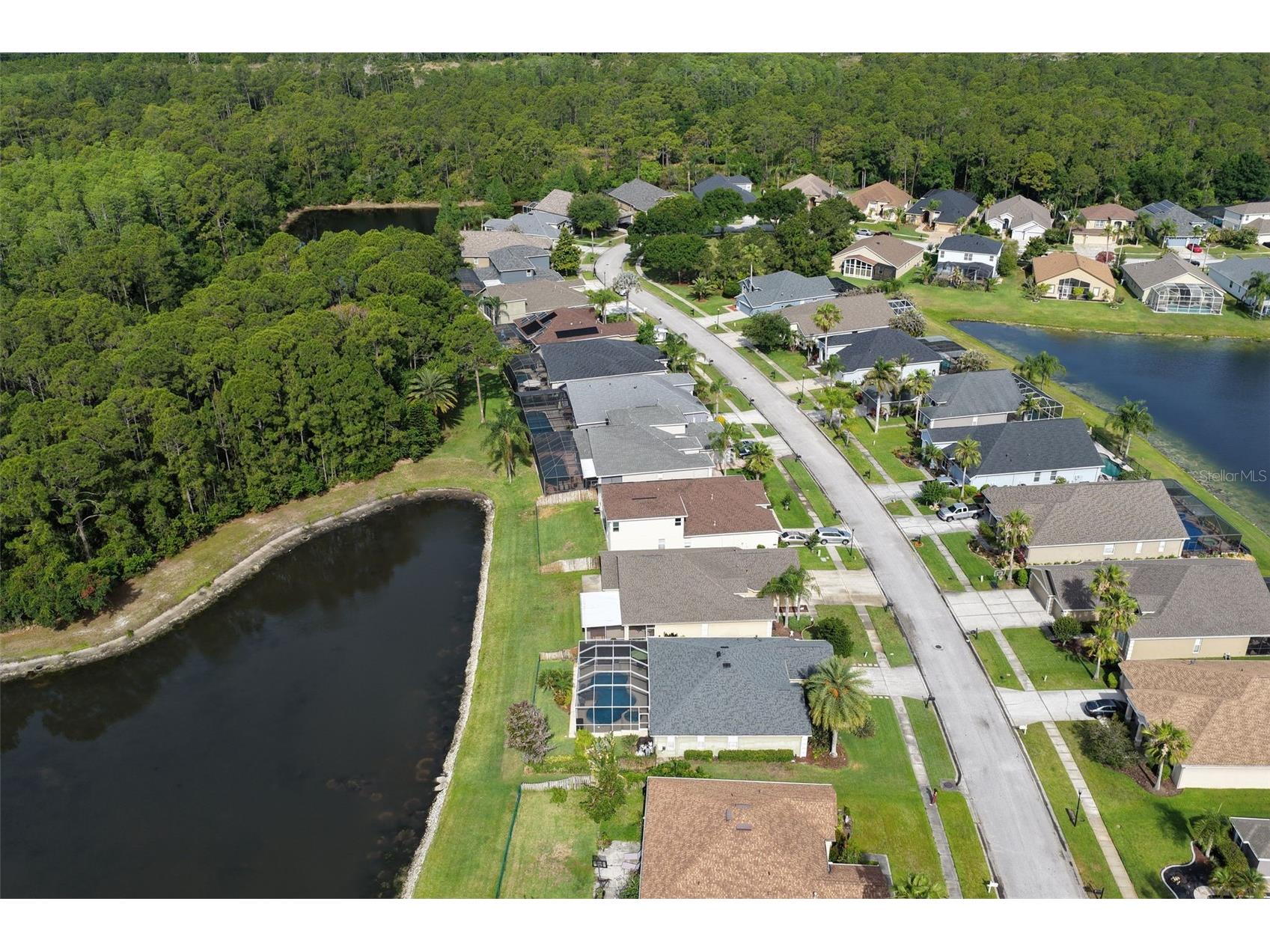 12730 Tar Flower Drive Tampa FL 33626 TB8508499 image46
