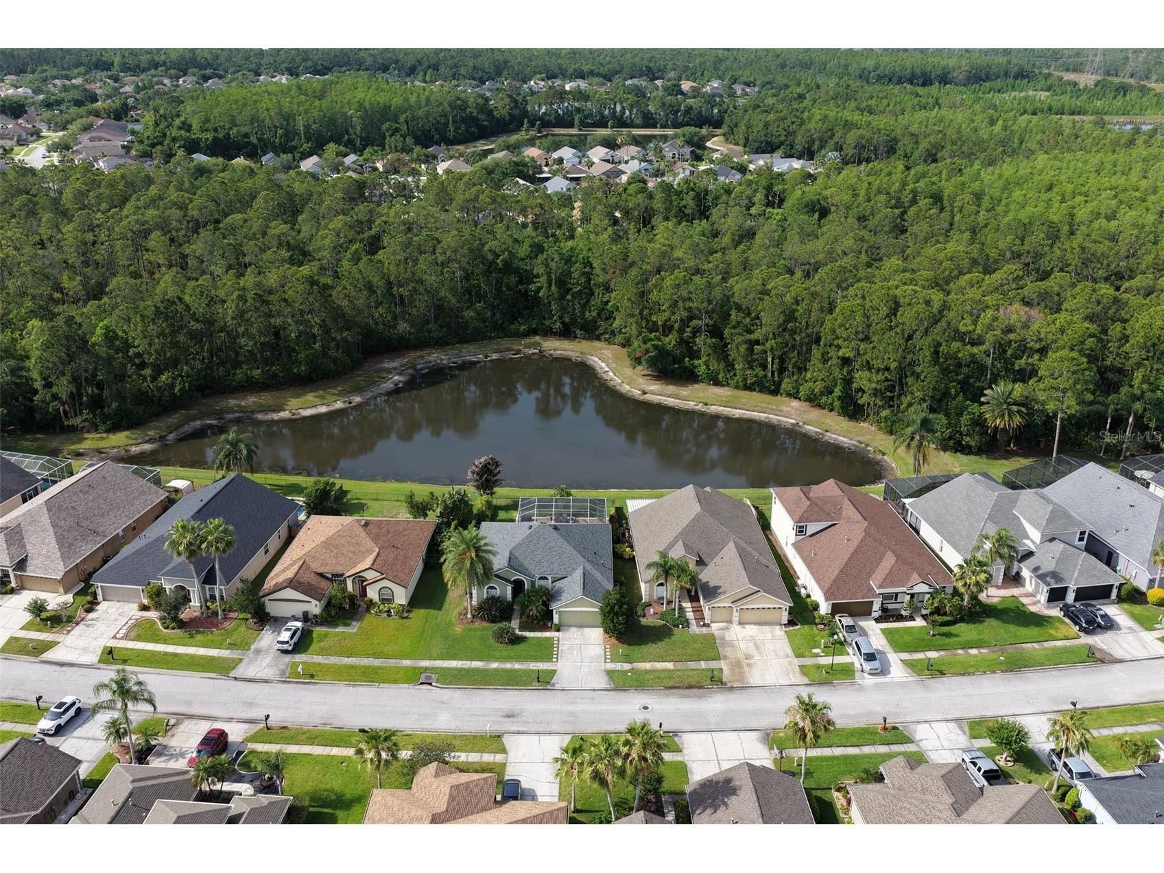 12730 Tar Flower Drive Tampa FL 33626 TB8508499 image47