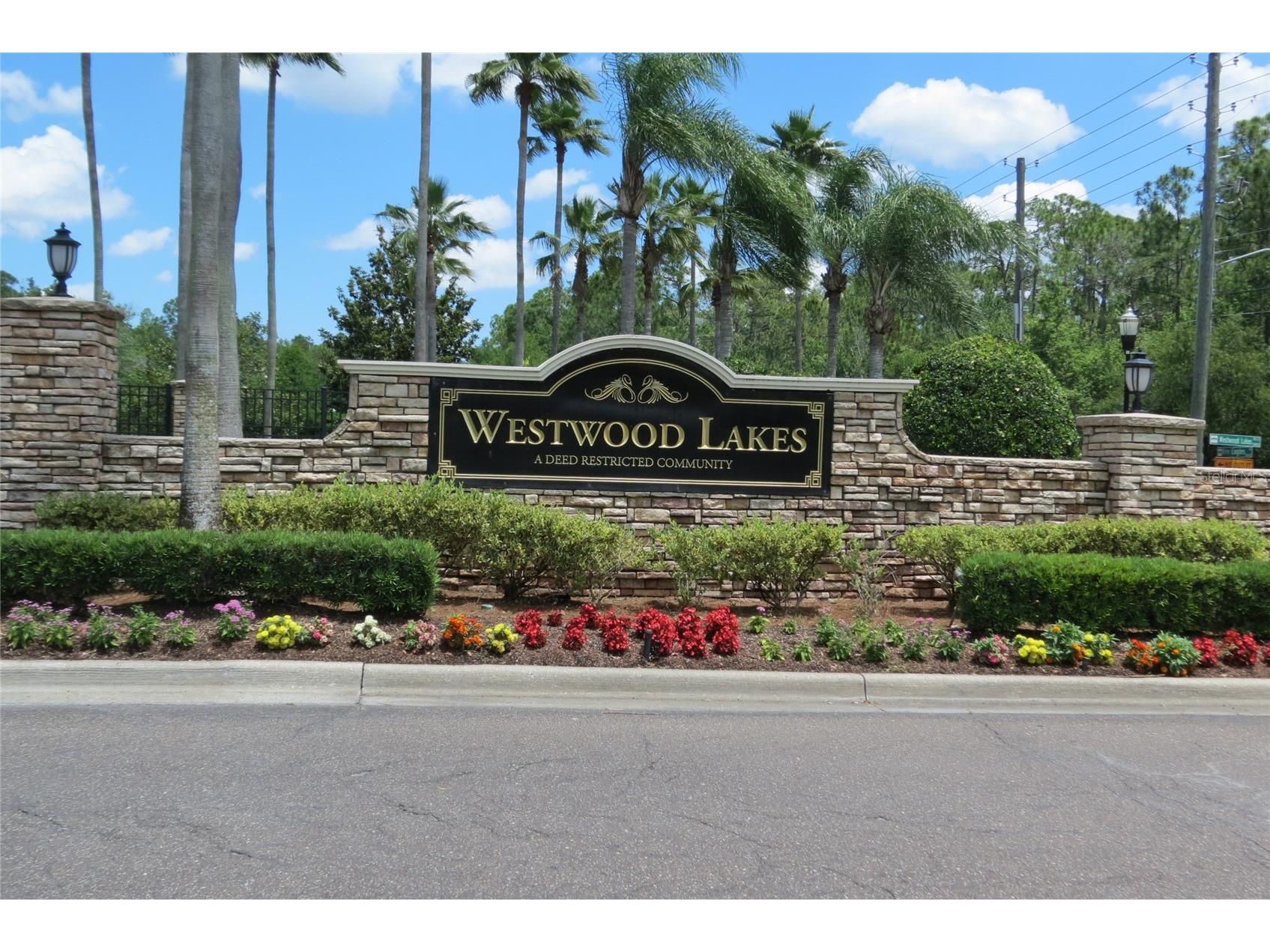 12730 Tar Flower Drive Tampa FL 33626 TB8508499 image48