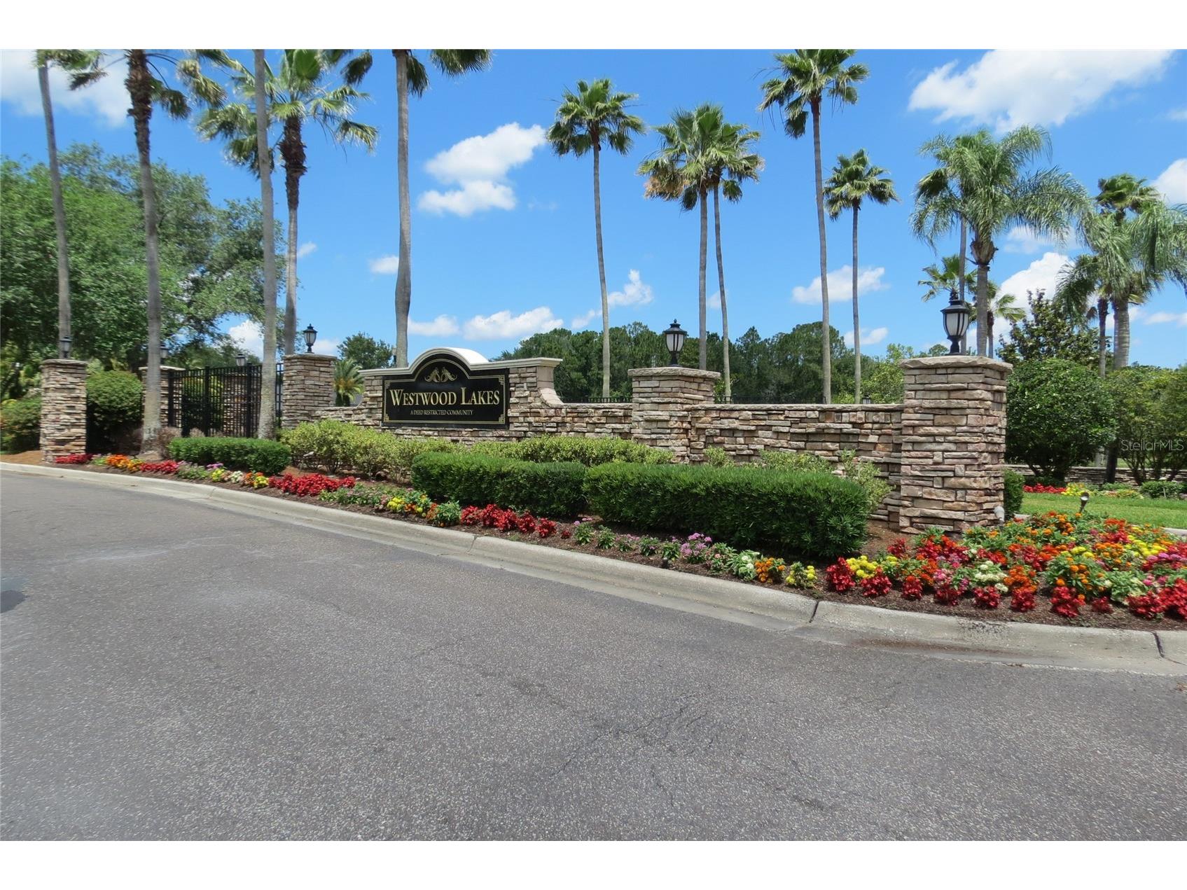 12730 Tar Flower Drive Tampa FL 33626 TB8508499 image49