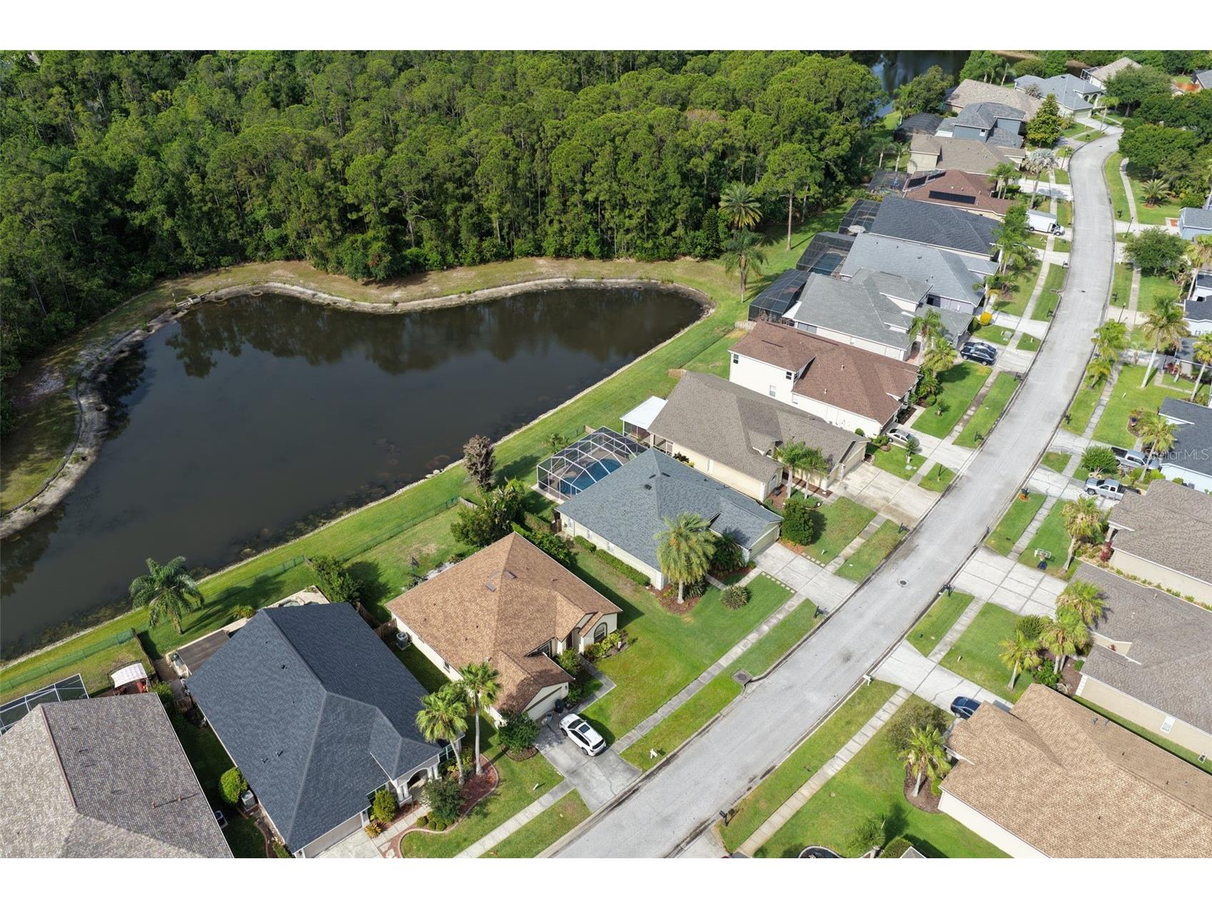 12730 Tar Flower Drive Tampa FL 33626 TB8508499 image5