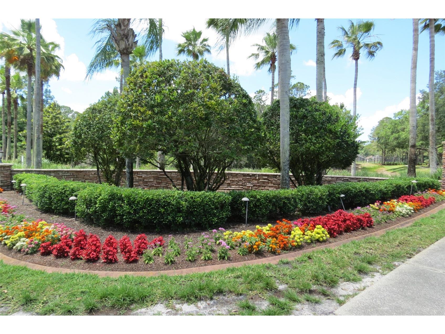 12730 Tar Flower Drive Tampa FL 33626 TB8508499 image50