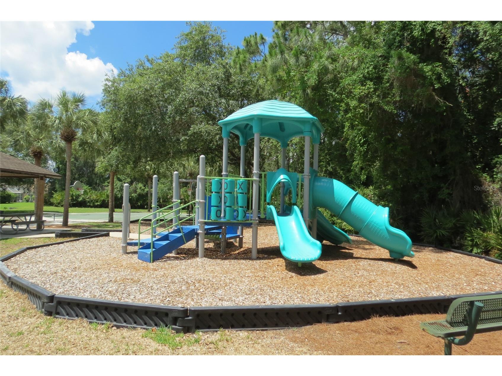 12730 Tar Flower Drive Tampa FL 33626 TB8508499 image51