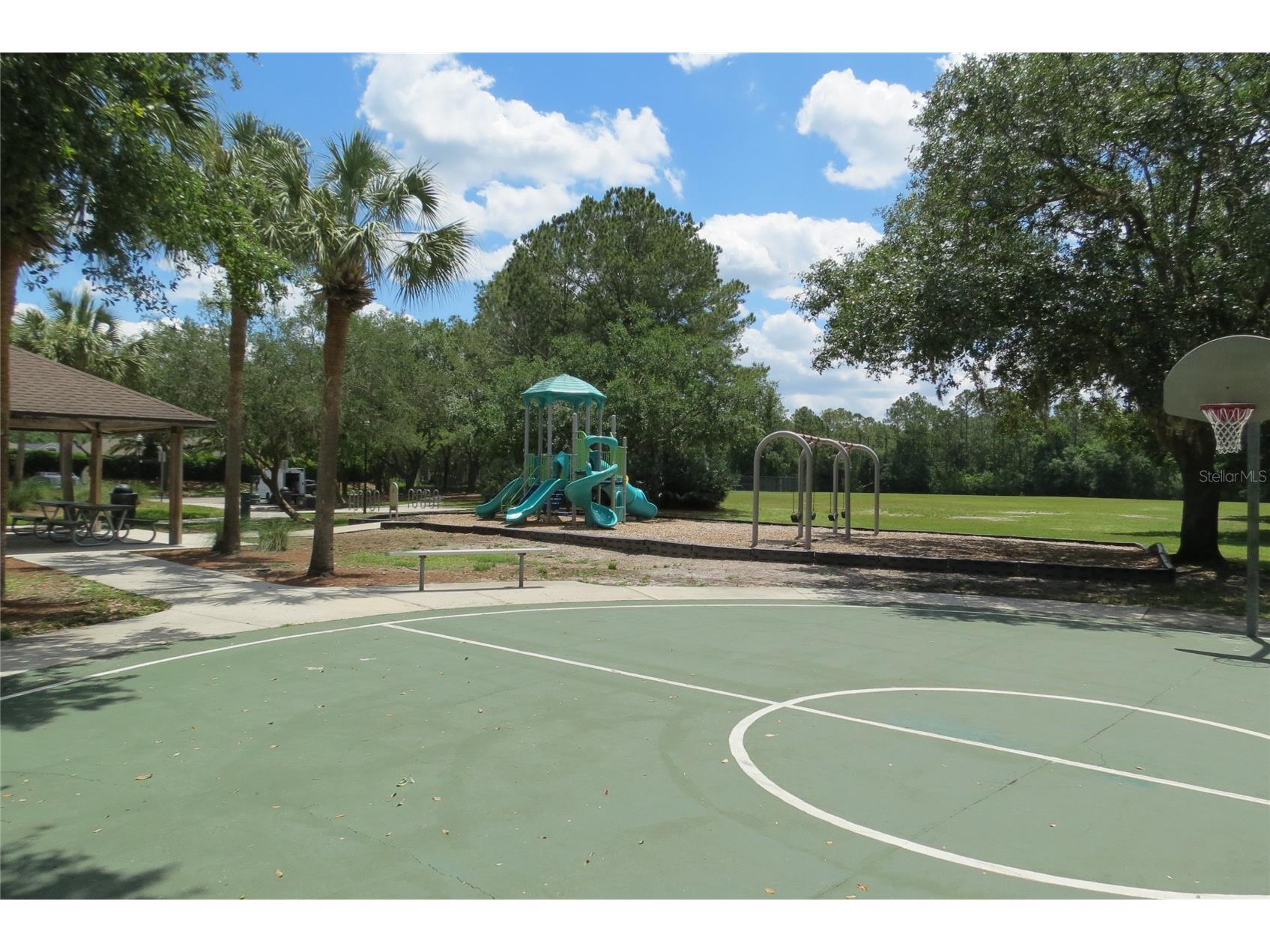 12730 Tar Flower Drive Tampa FL 33626 TB8508499 image53