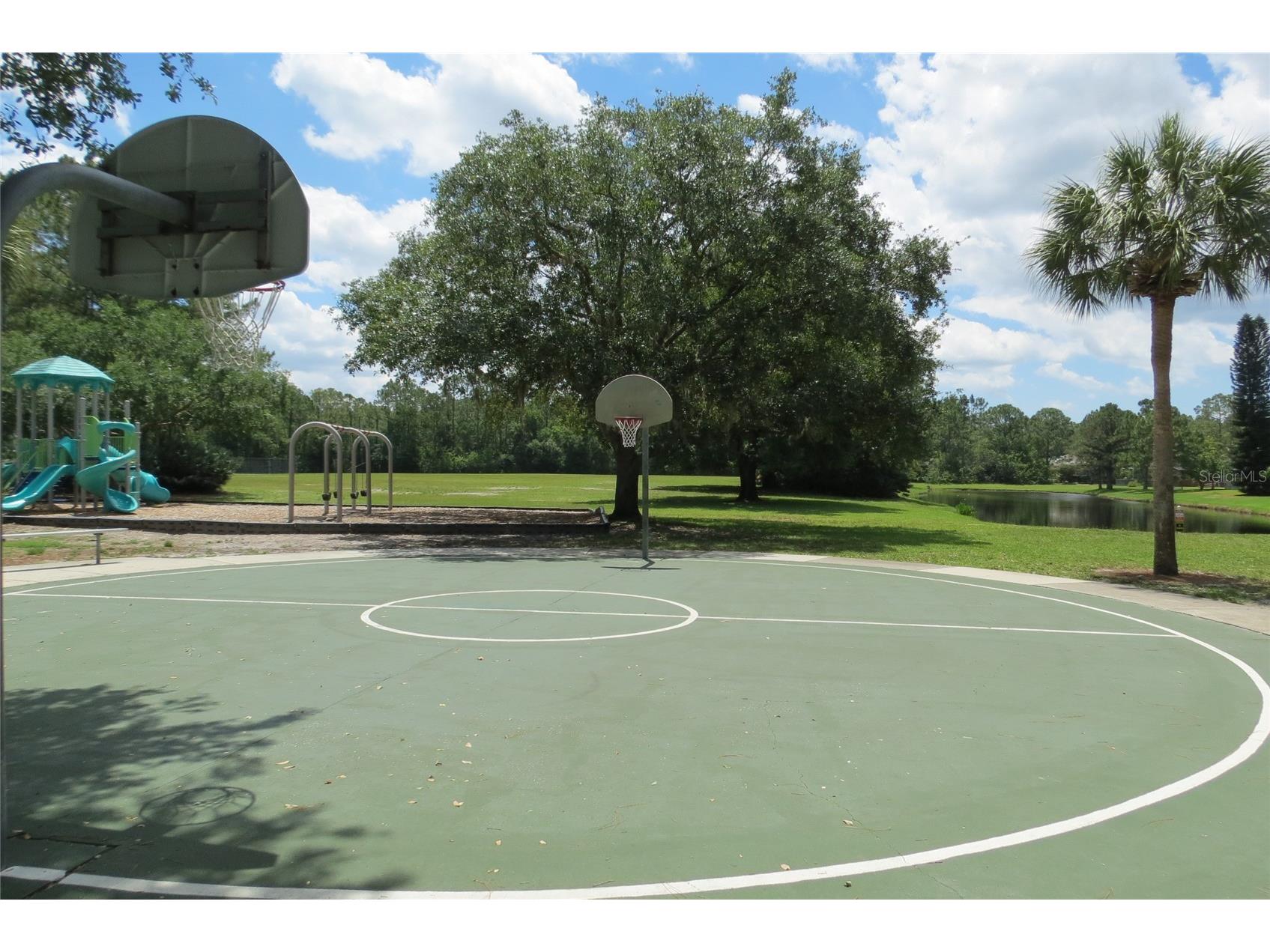 12730 Tar Flower Drive Tampa FL 33626 TB8508499 image54
