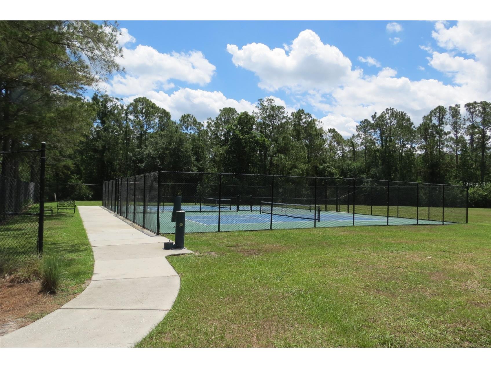 12730 Tar Flower Drive Tampa FL 33626 TB8508499 image55