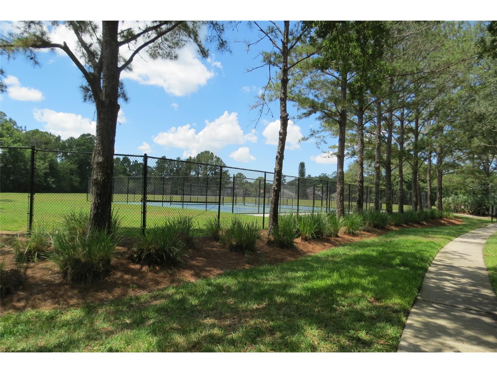 12730 Tar Flower Drive Tampa FL 33626 TB8508499 image56