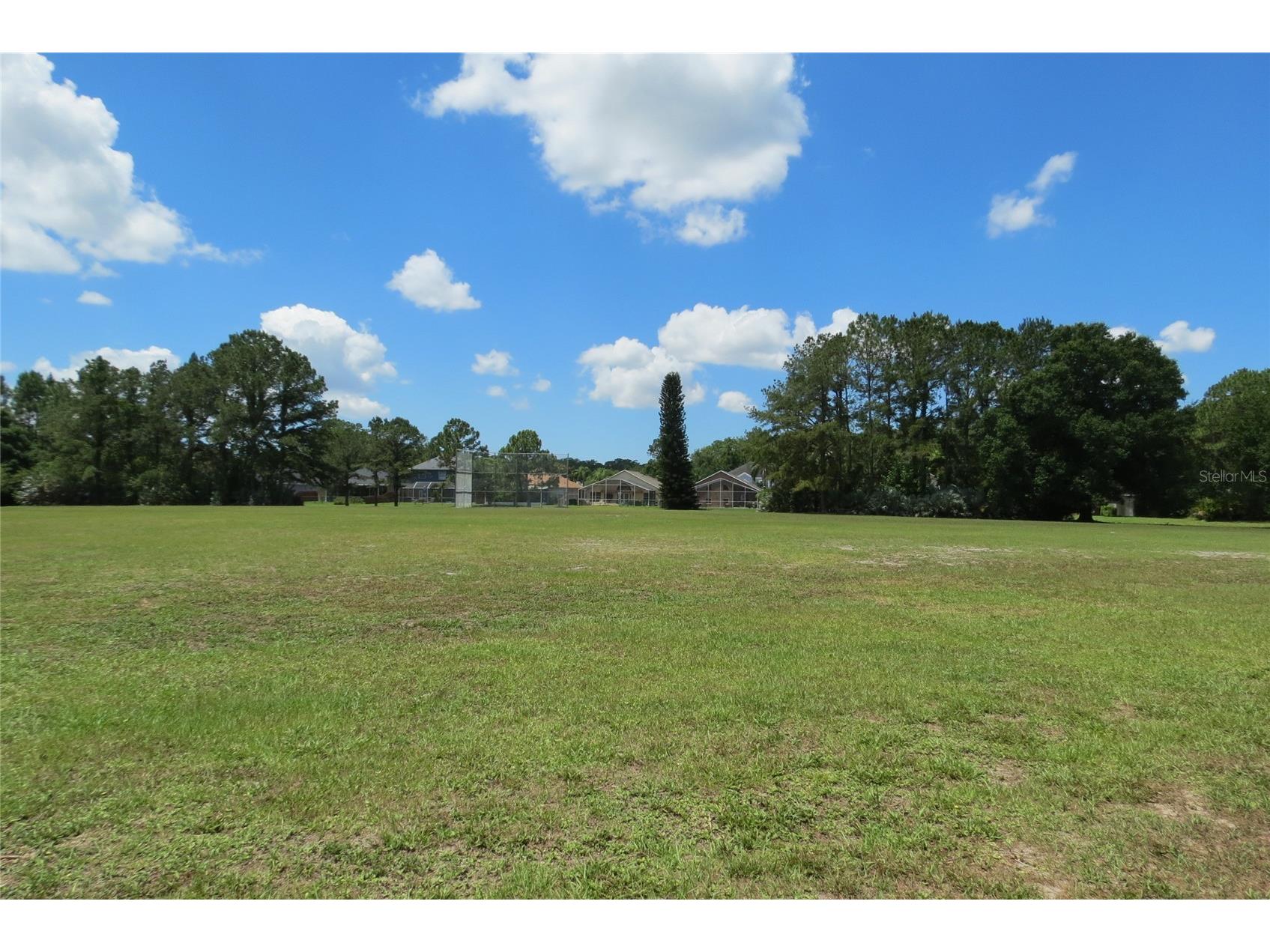 12730 Tar Flower Drive Tampa FL 33626 TB8508499 image57