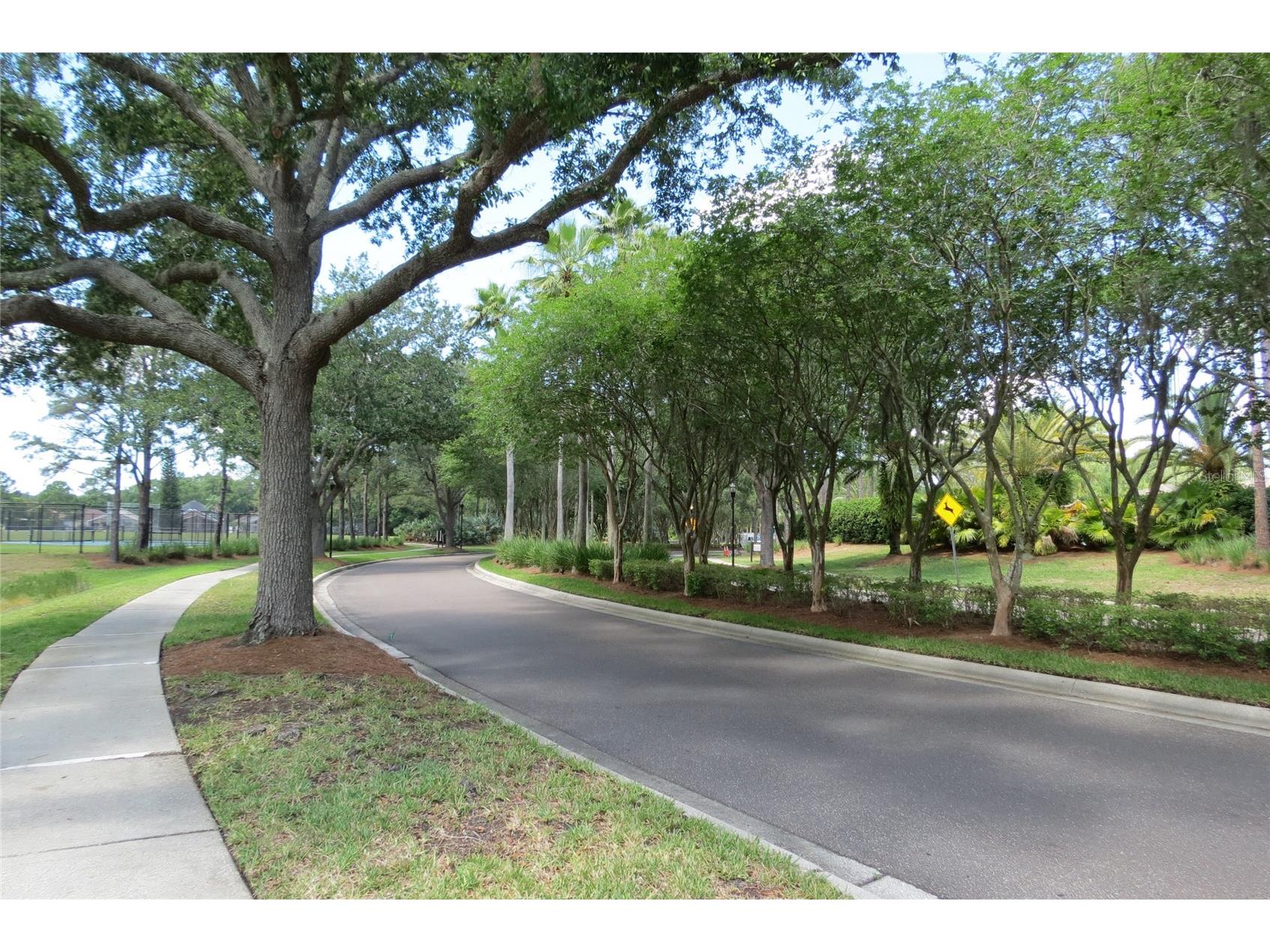 12730 Tar Flower Drive Tampa FL 33626 TB8508499 image58