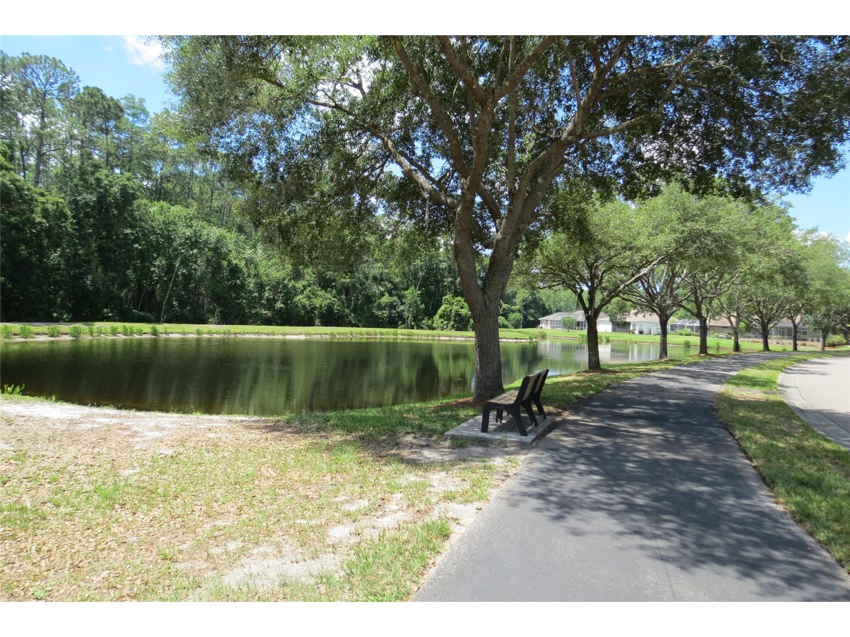 12730 Tar Flower Drive Tampa FL 33626 TB8508499 image59