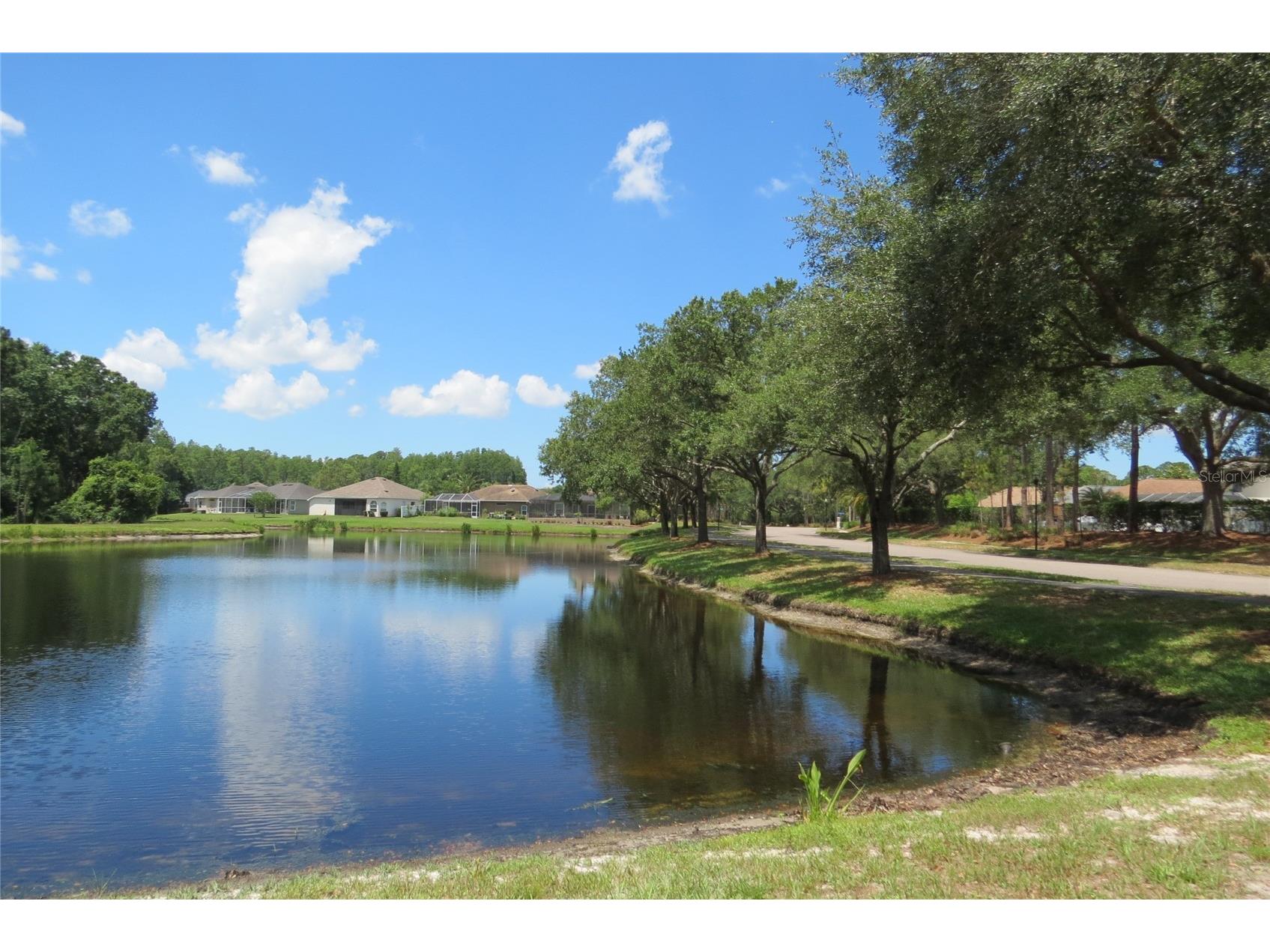 12730 Tar Flower Drive Tampa FL 33626 TB8508499 image60