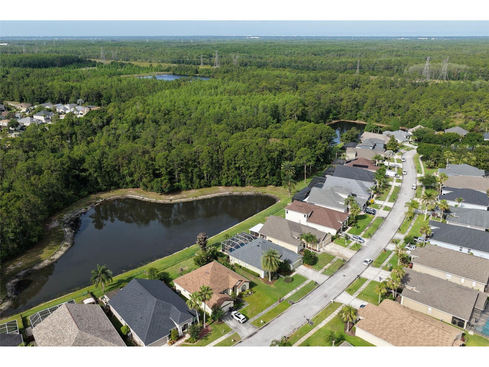 12730 Tar Flower Drive Tampa FL 33626 TB8508499 image7