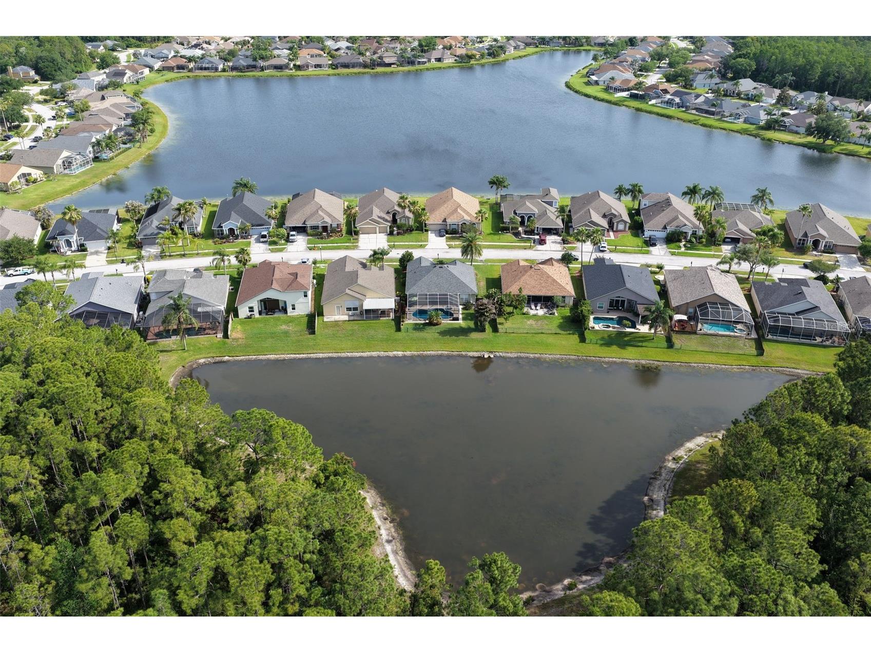 12730 Tar Flower Drive Tampa FL 33626 TB8508499 image9
