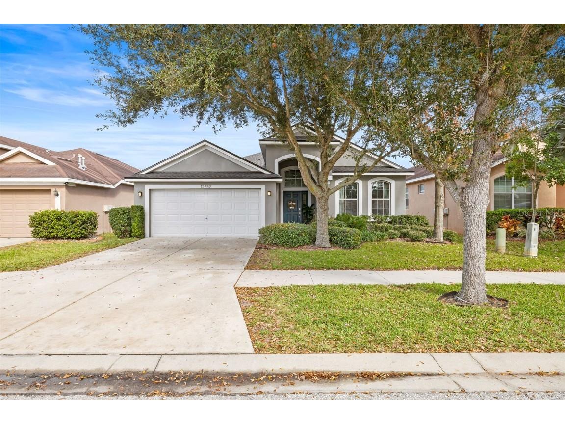 12732 Whitney Meadow Way Riverview FL 33578 T3498771 image1