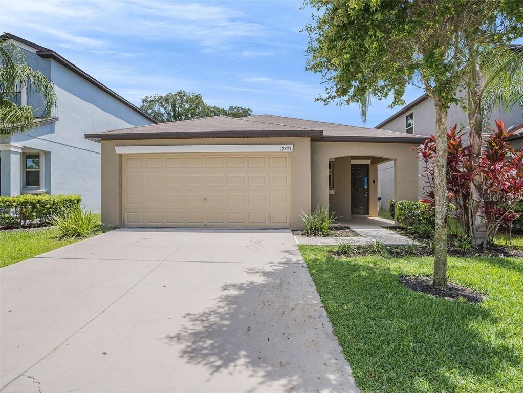 12733 Lemon Pepper Drive Riverview FL 33578 O6041654 image1