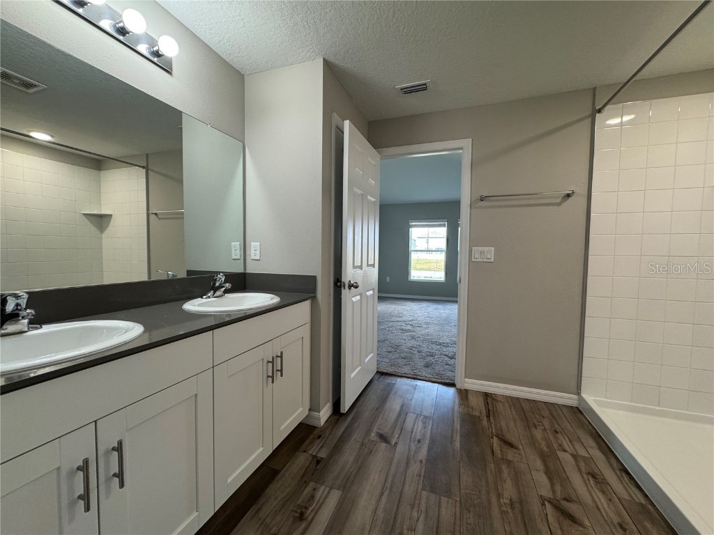 12734 Mangrove Forest Drive Riverview FL 33579 TB8441607 image13