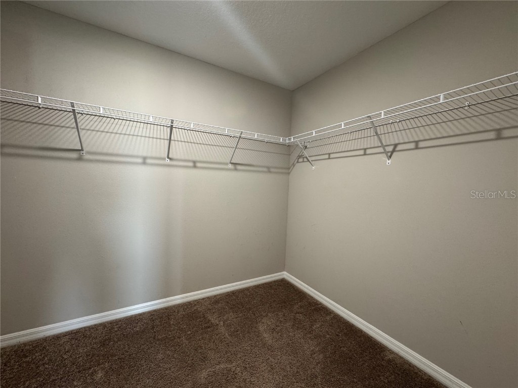 12734 Mangrove Forest Drive Riverview FL 33579 TB8441607 image14