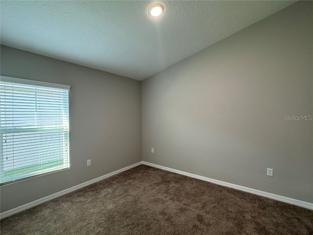 12734 Mangrove Forest Drive Riverview FL 33579 TB8441607 image17