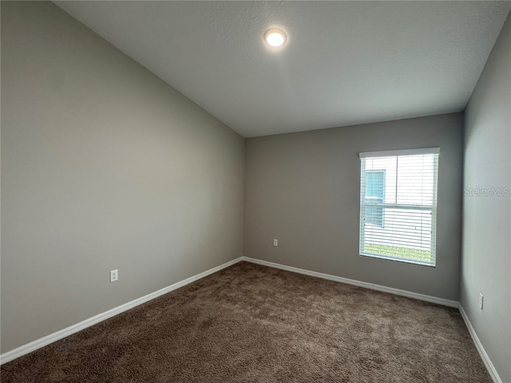 12734 Mangrove Forest Drive Riverview FL 33579 TB8441607 image19