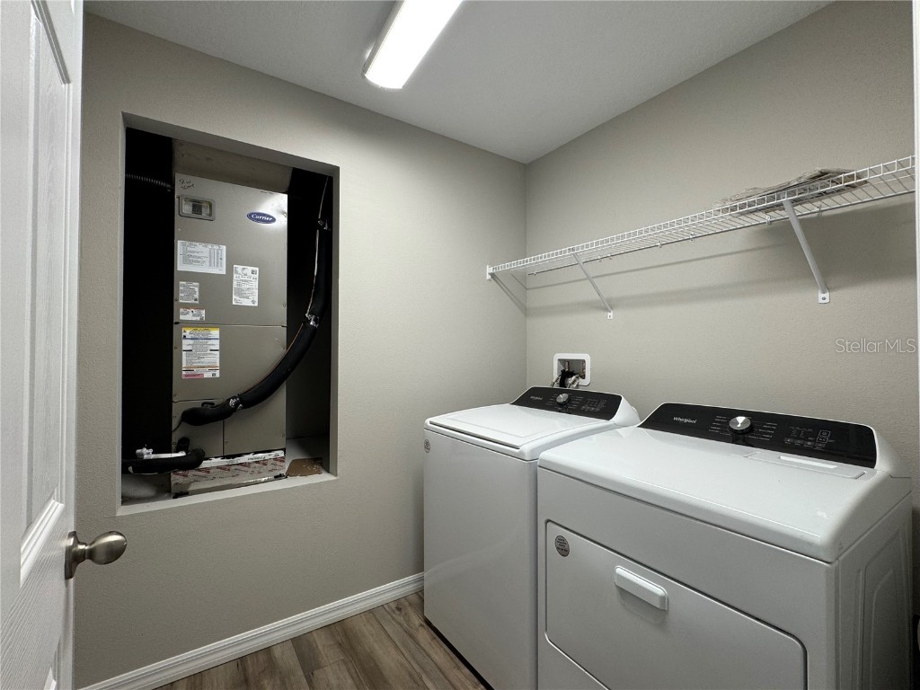 12734 Mangrove Forest Drive Riverview FL 33579 TB8441607 image22