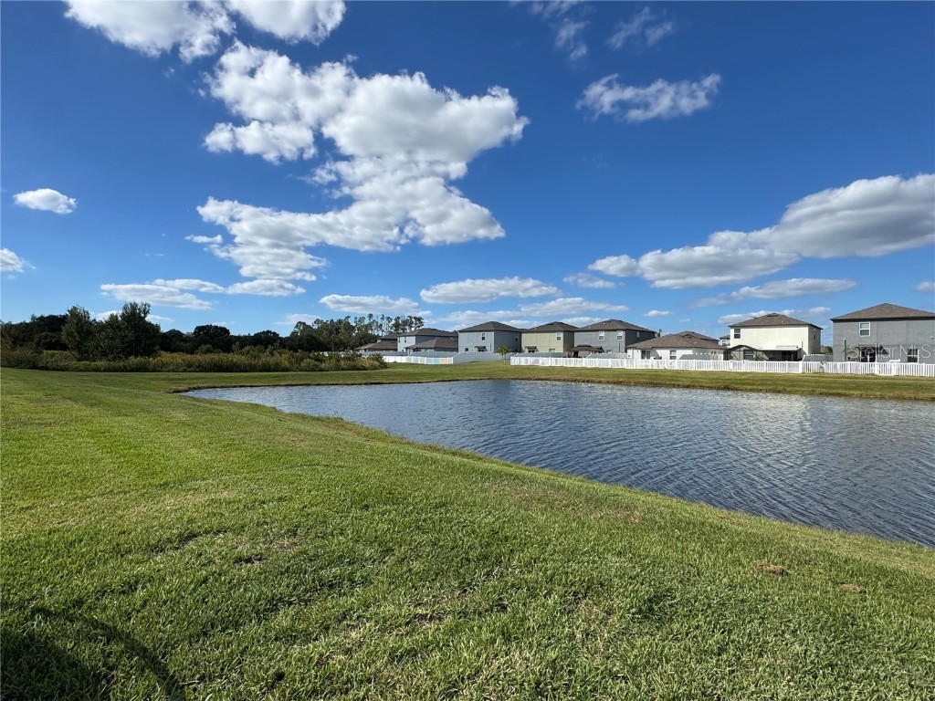 12734 Mangrove Forest Drive Riverview FL 33579 TB8441607 image25