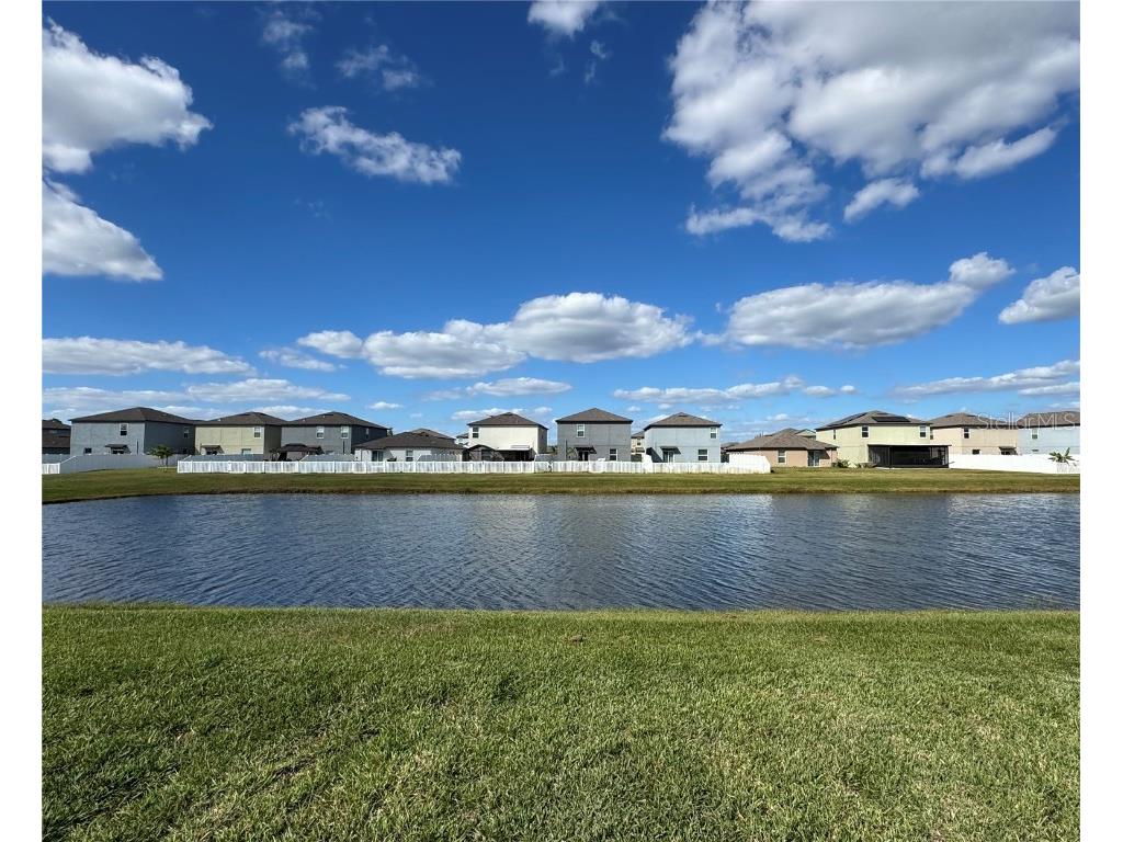 12734 Mangrove Forest Drive Riverview FL 33579 TB8441607 image26