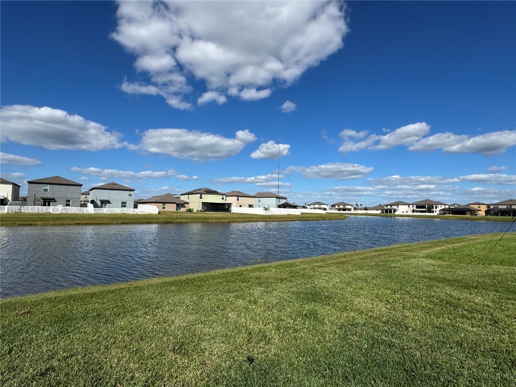 12734 Mangrove Forest Drive Riverview FL 33579 TB8441607 image27