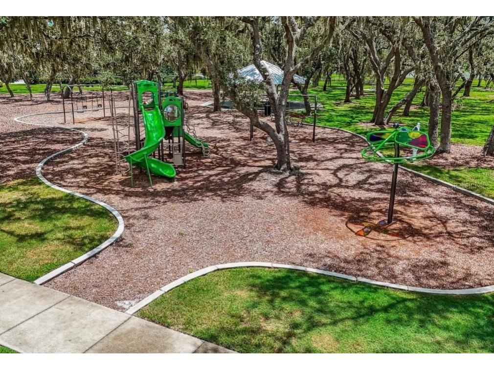 12734 Mangrove Forest Drive Riverview FL 33579 TB8441607 image28