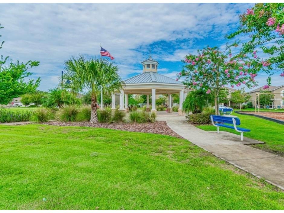 12734 Mangrove Forest Drive Riverview FL 33579 TB8441607 image33