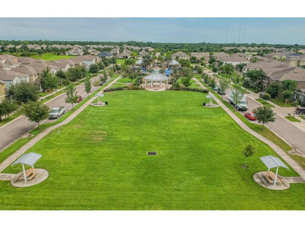 12734 Mangrove Forest Drive Riverview FL 33579 TB8441607 image34