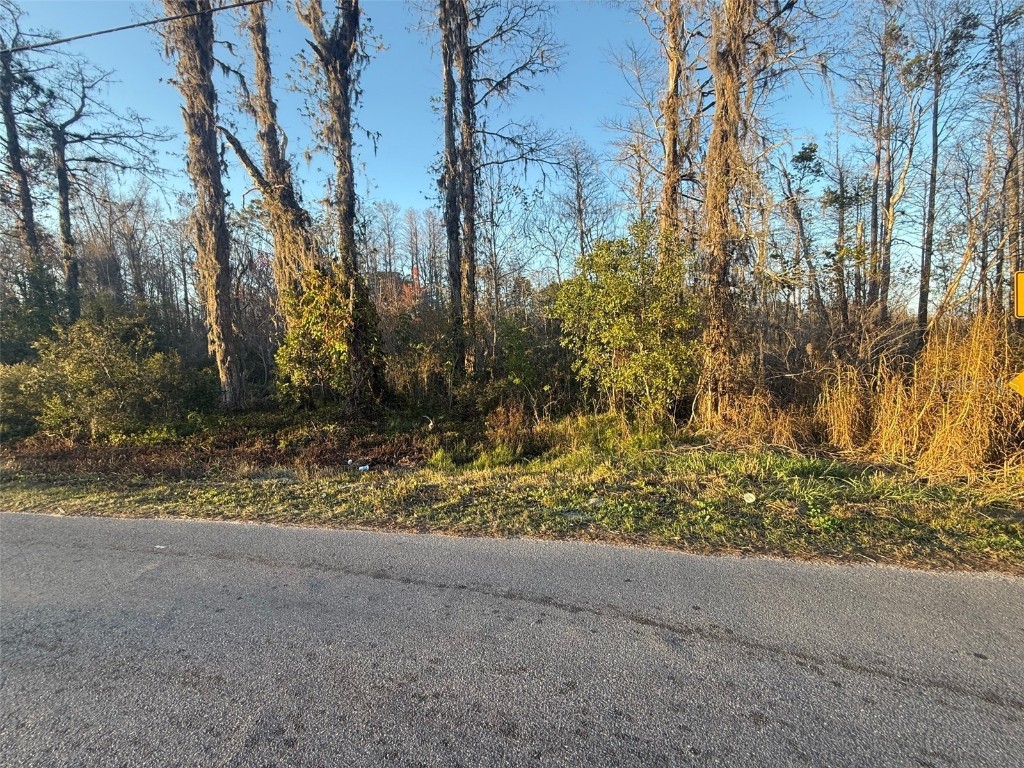12735 Oconee Boulevard New Port Richey FL 34654 TB8354703 image1