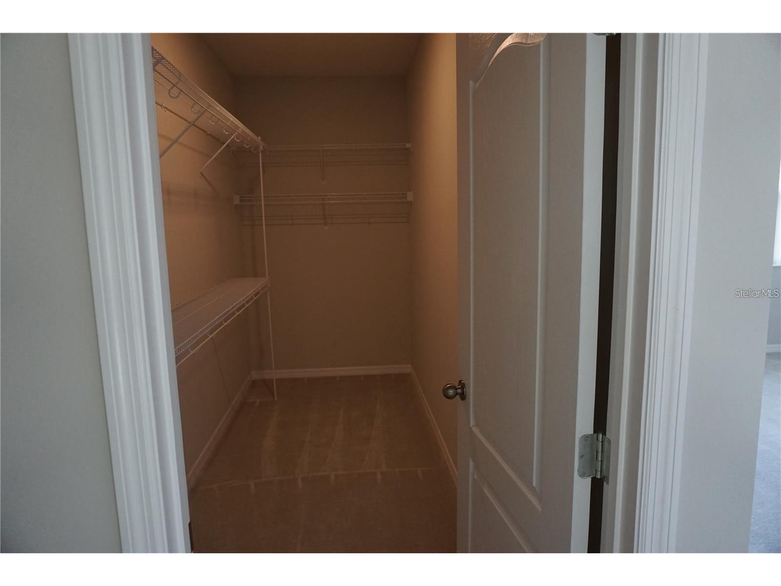 12736 Brodlove Lane Winter Garden FL 34787 O6384962 image14