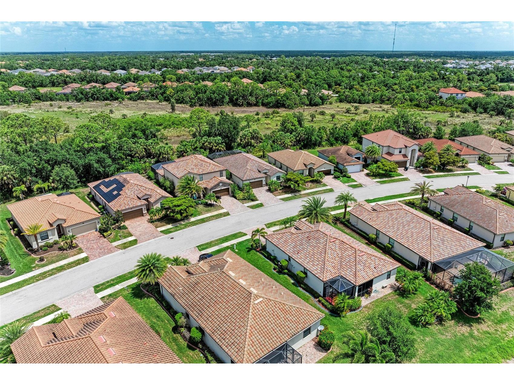 12736 Richezza Drive Venice FL 34293 D6147591 image60