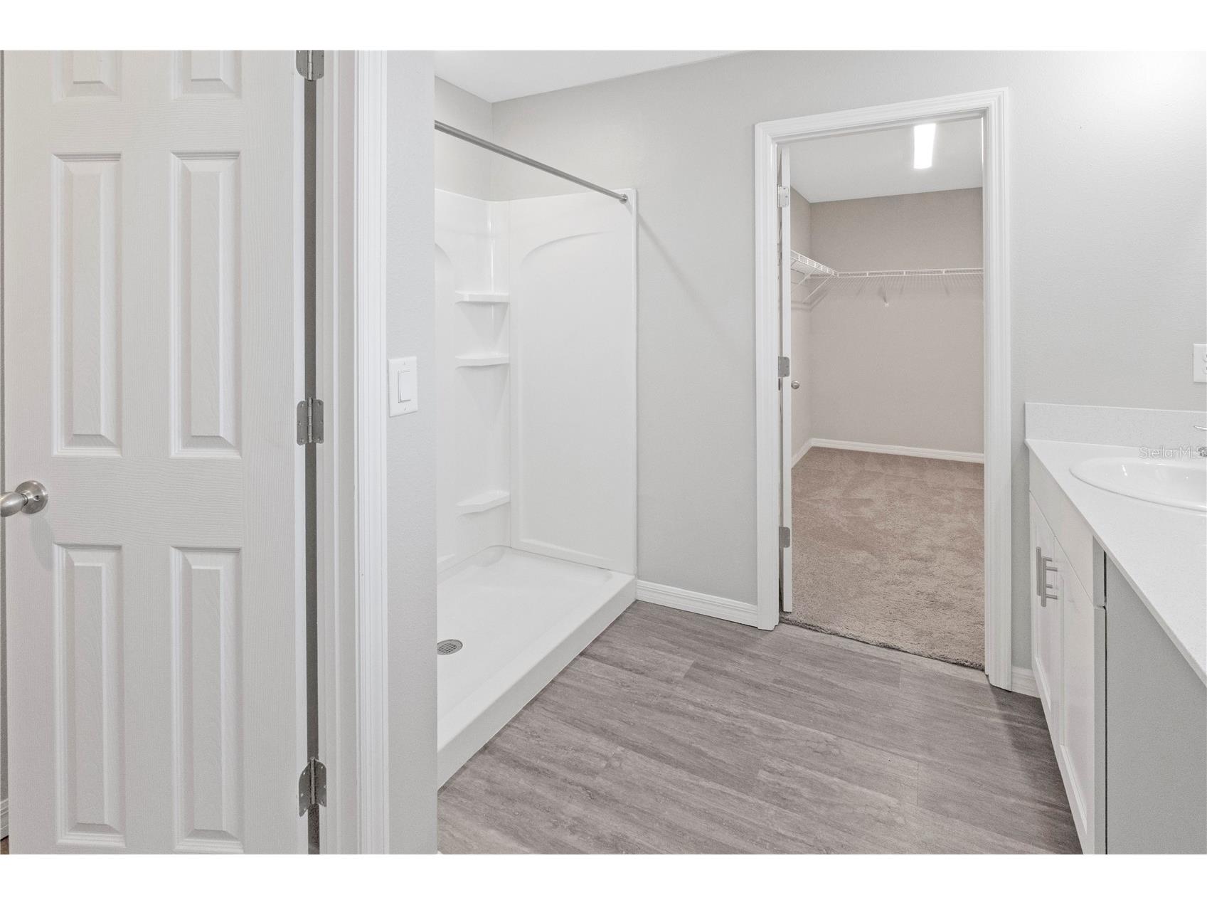 12737 Tannencrest Drive Riverview FL 33579 TB8513509 image18