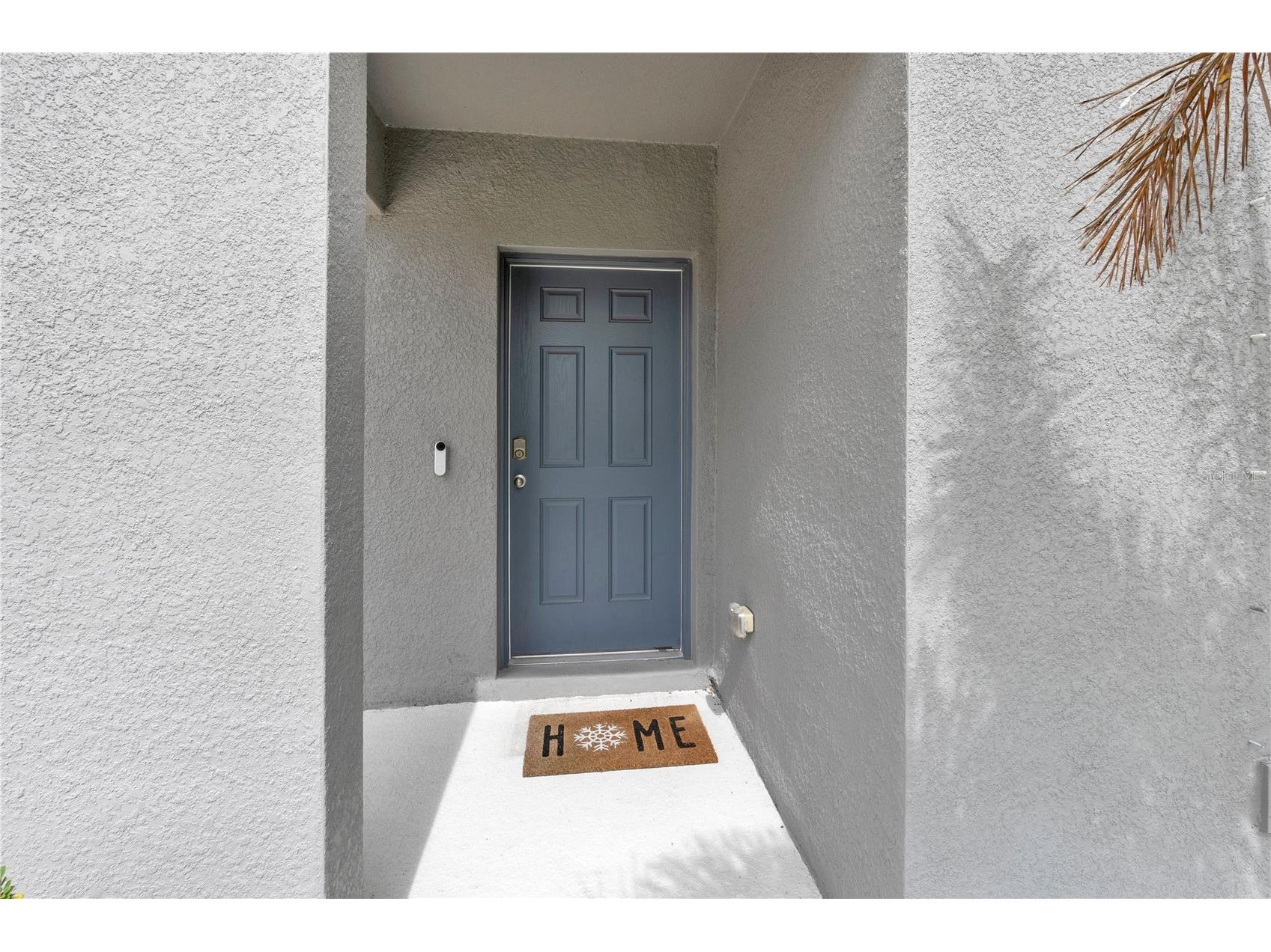 12737 Tannencrest Drive Riverview FL 33579 TB8513509 image3