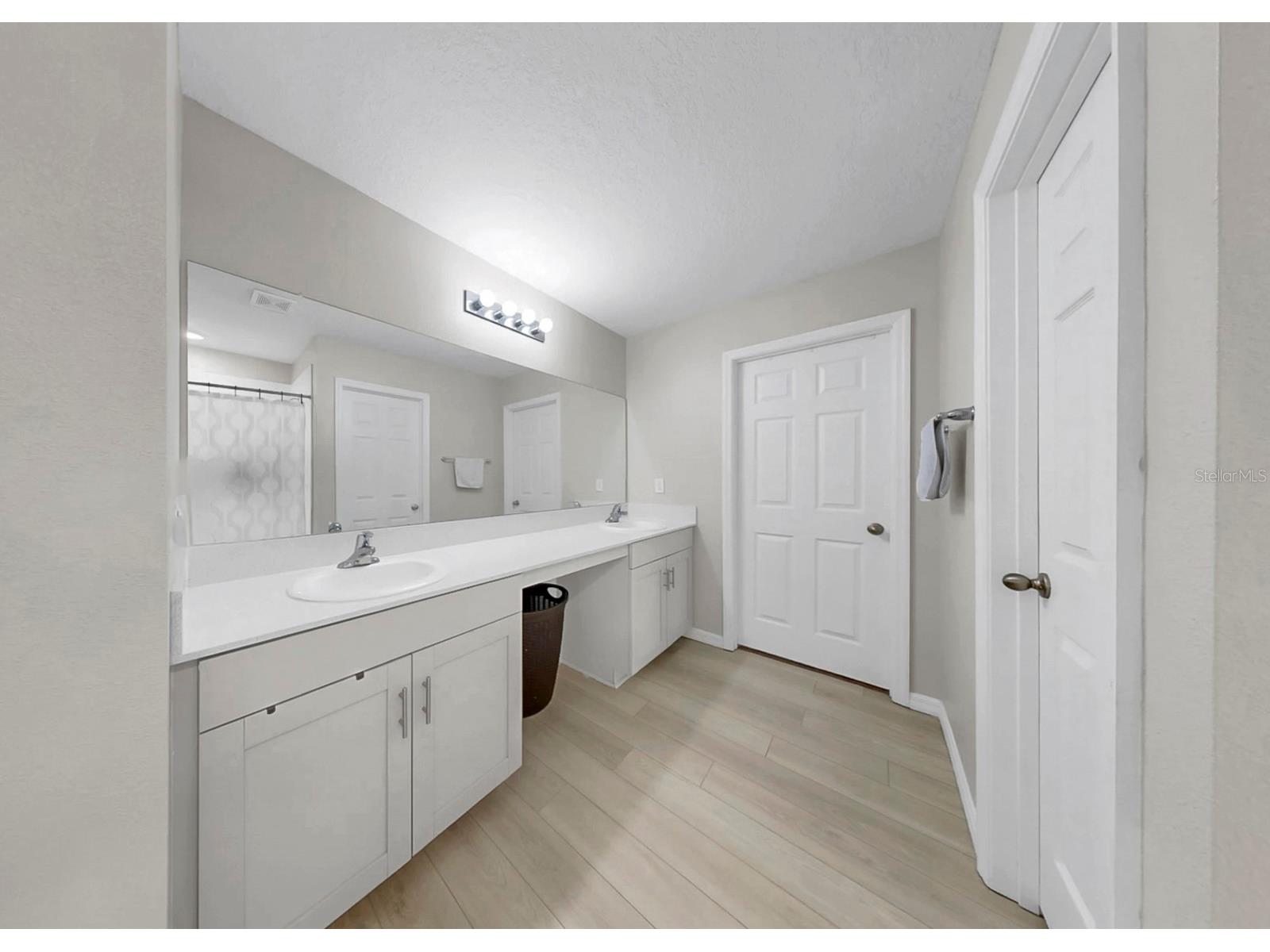 12738 Mangrove Forest Drive Riverview FL 33579 TB8492809 image41