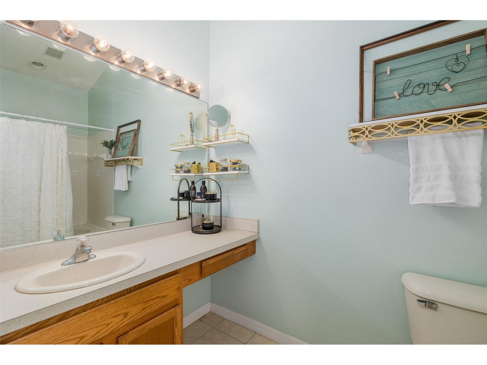12739 Sunland Court Tampa FL 33625 TB8504157 image17