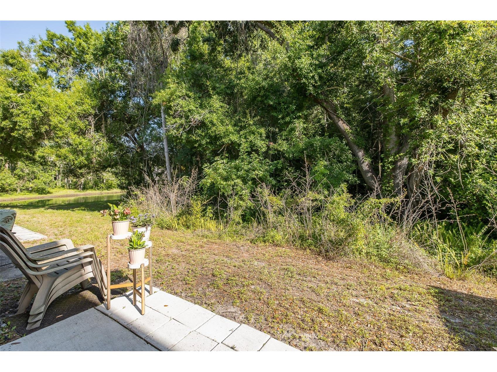 12739 Sunland Court Tampa FL 33625 TB8504157 image28