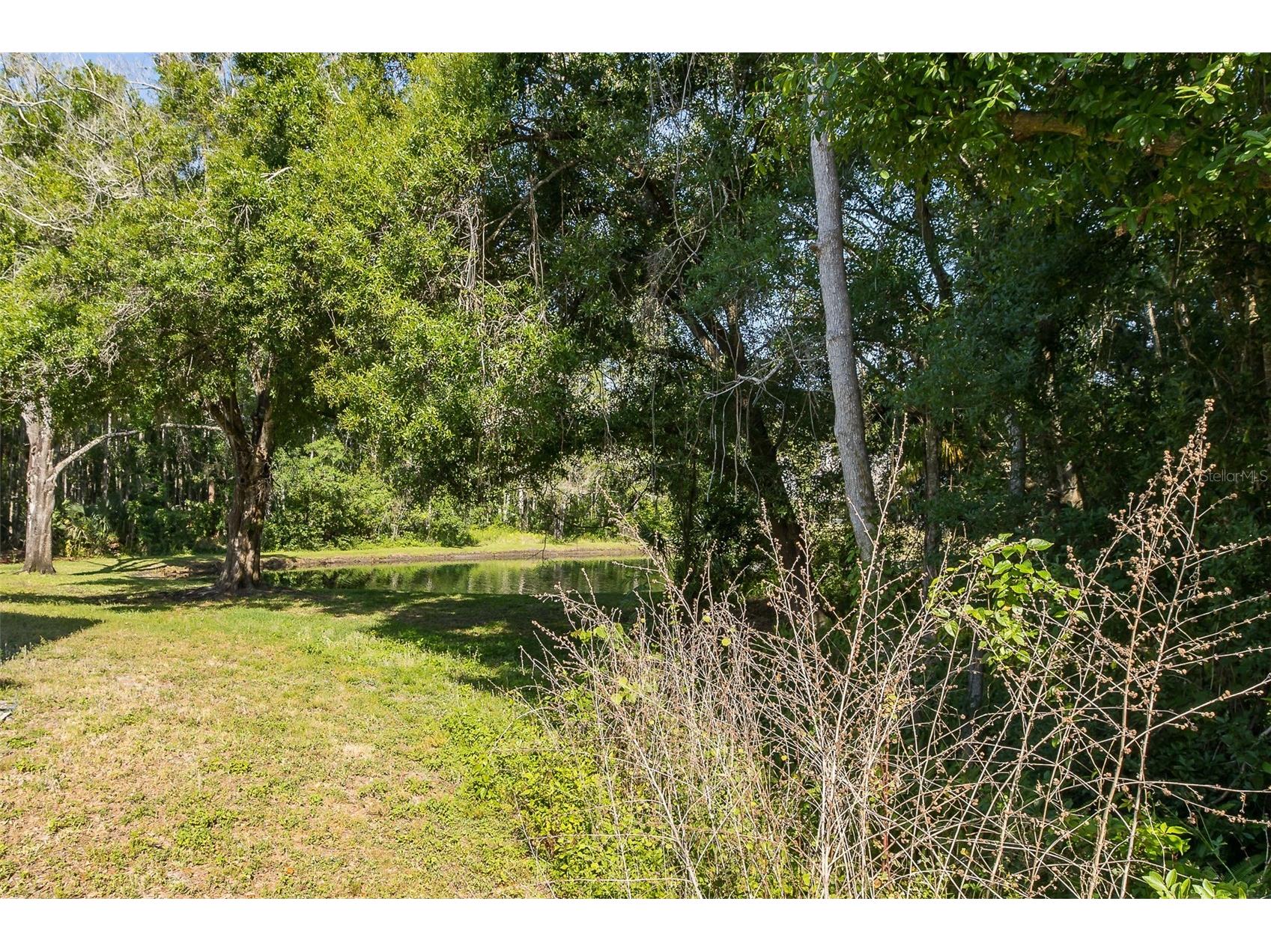 12739 Sunland Court Tampa FL 33625 TB8504157 image29