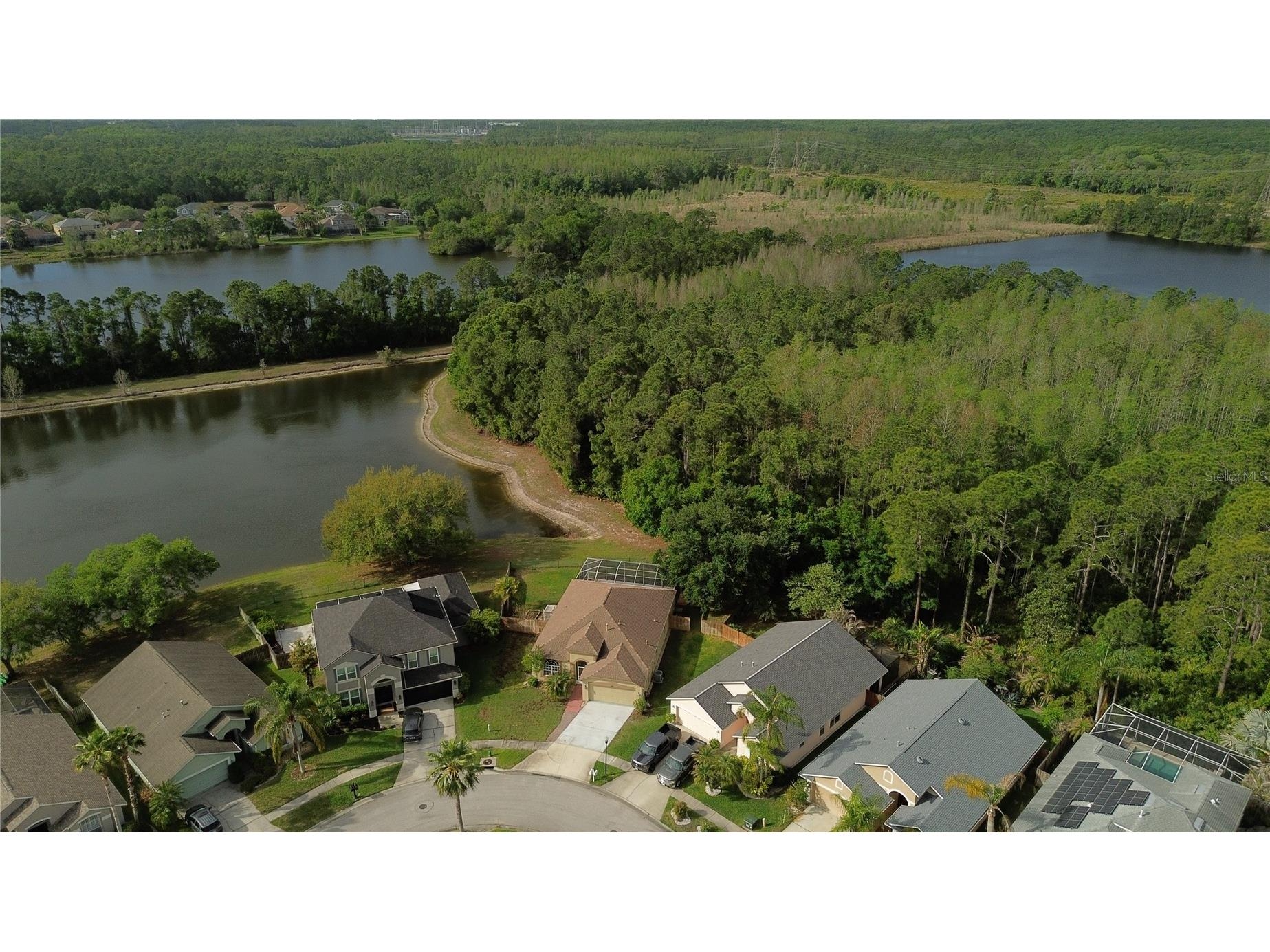 12740 Westwood Lakes Boulevard Tampa FL 33626 TB8492353 image28