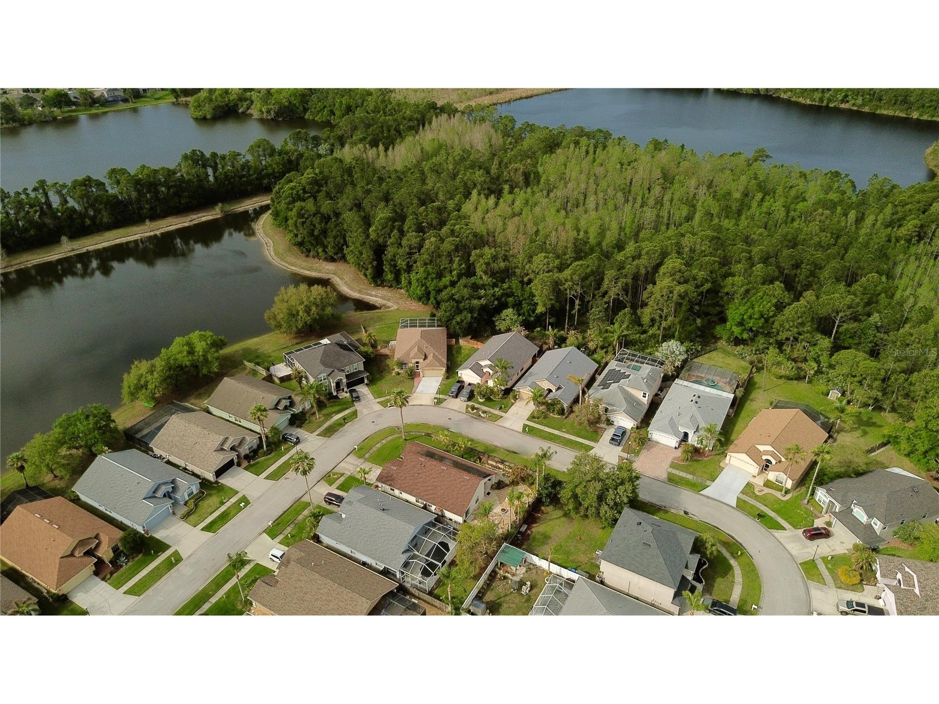 12740 Westwood Lakes Boulevard Tampa FL 33626 TB8492353 image29