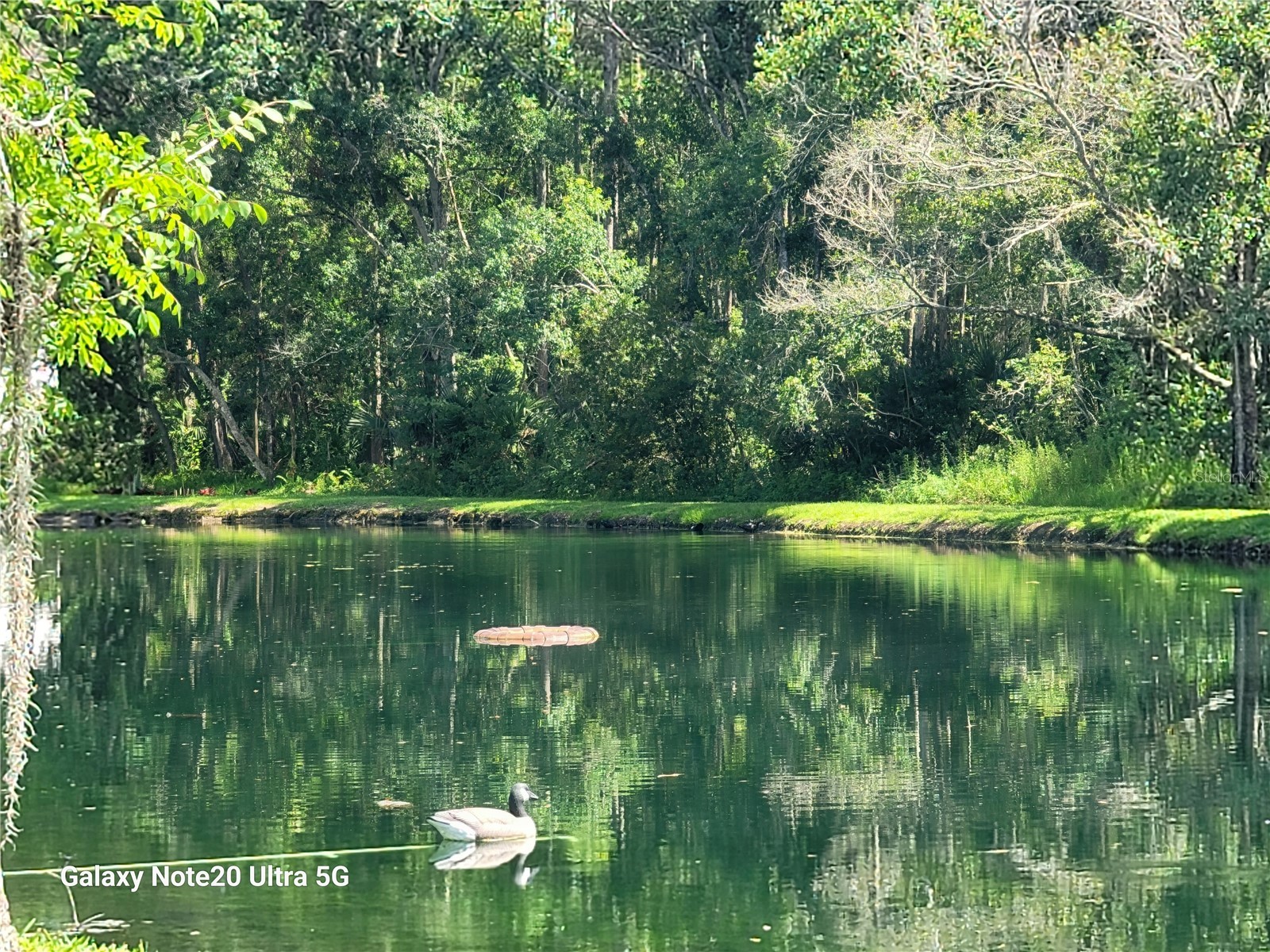 12742 Wood Trail Blvd Boulevard Tampa FL 33625 TB8520760 image2