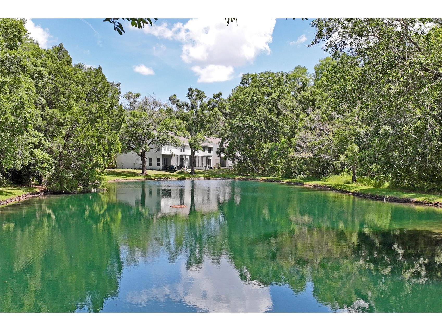 12742 Wood Trail Blvd Boulevard Tampa FL 33625 TB8520760 image42