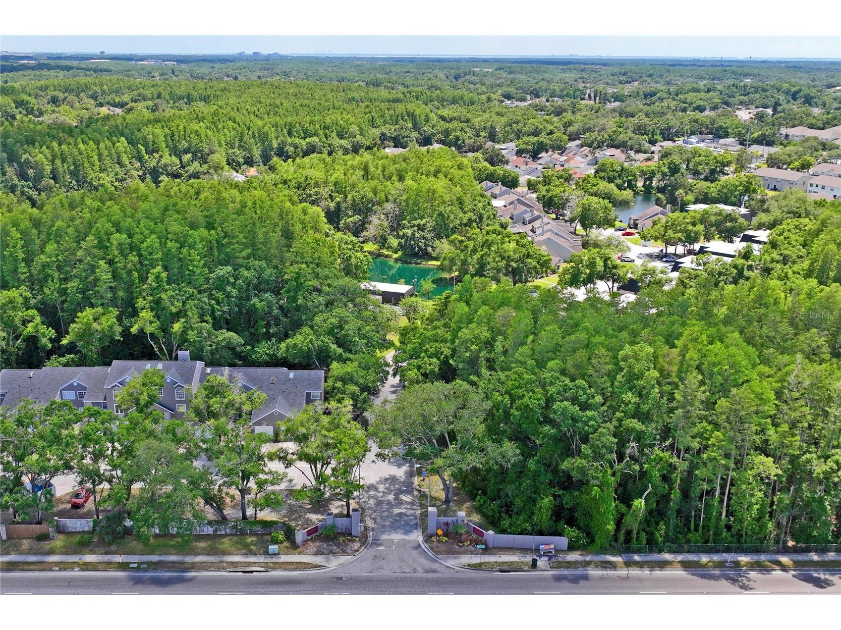 12742 Wood Trail Blvd Boulevard Tampa FL 33625 TB8520760 image47